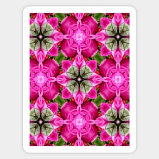 Valentine's Day pink rose pattern. Sticker